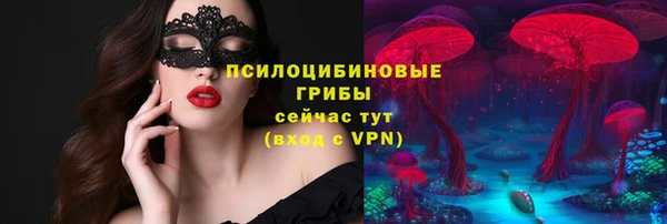 мяу мяу мука Арсеньев
