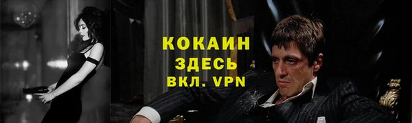 мяу мяу мука Арсеньев