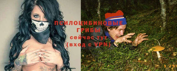 гашик Аркадак