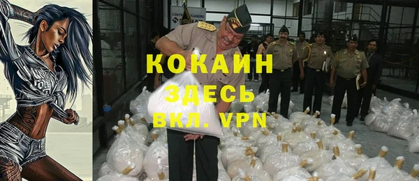 мяу мяу мука Арсеньев