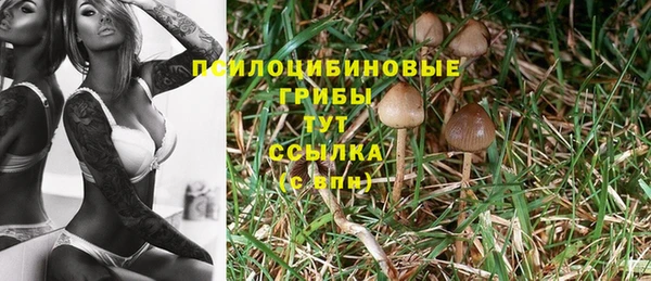 MDMA Армянск