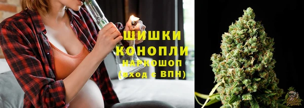 ALPHA PVP Няндома